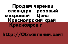 Продам черенки олеандра ( розовый,махровый) › Цена ­ 70 - Красноярский край, Красноярск г.  »    